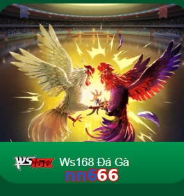 nn666